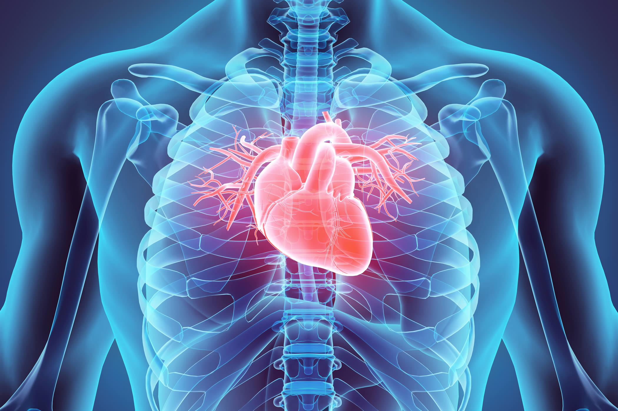 MIBI Myocardial Perfusion Image Test MIC Medical Imaging